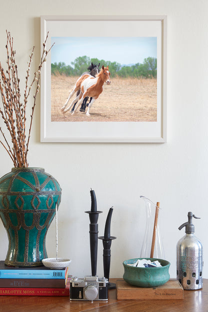 Horse Art Print of Frisky Arizona Ranch Horses as Rural Country Style Wall Decor