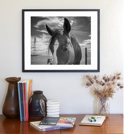 Horse Art on Western Ranch at Mexico-Arizona Border in Black & White
