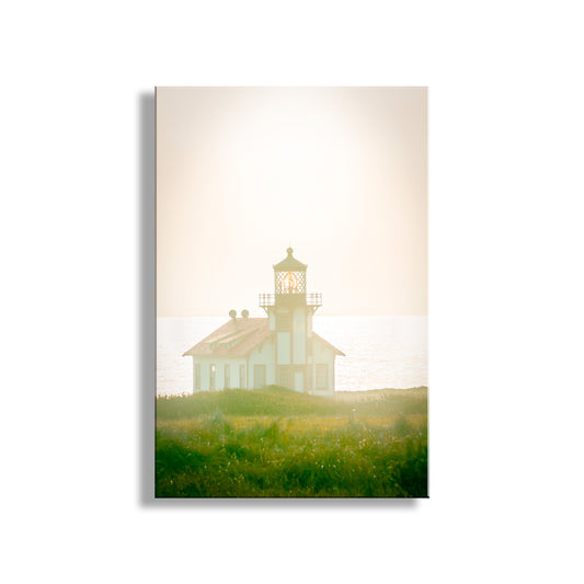 My lovely lighthouse art! Here's my dreamy view against the setting sun of Point Cabrillo Lighthouse, northern California, planet Earth. Original, unique signed art by Murray Bolesta!