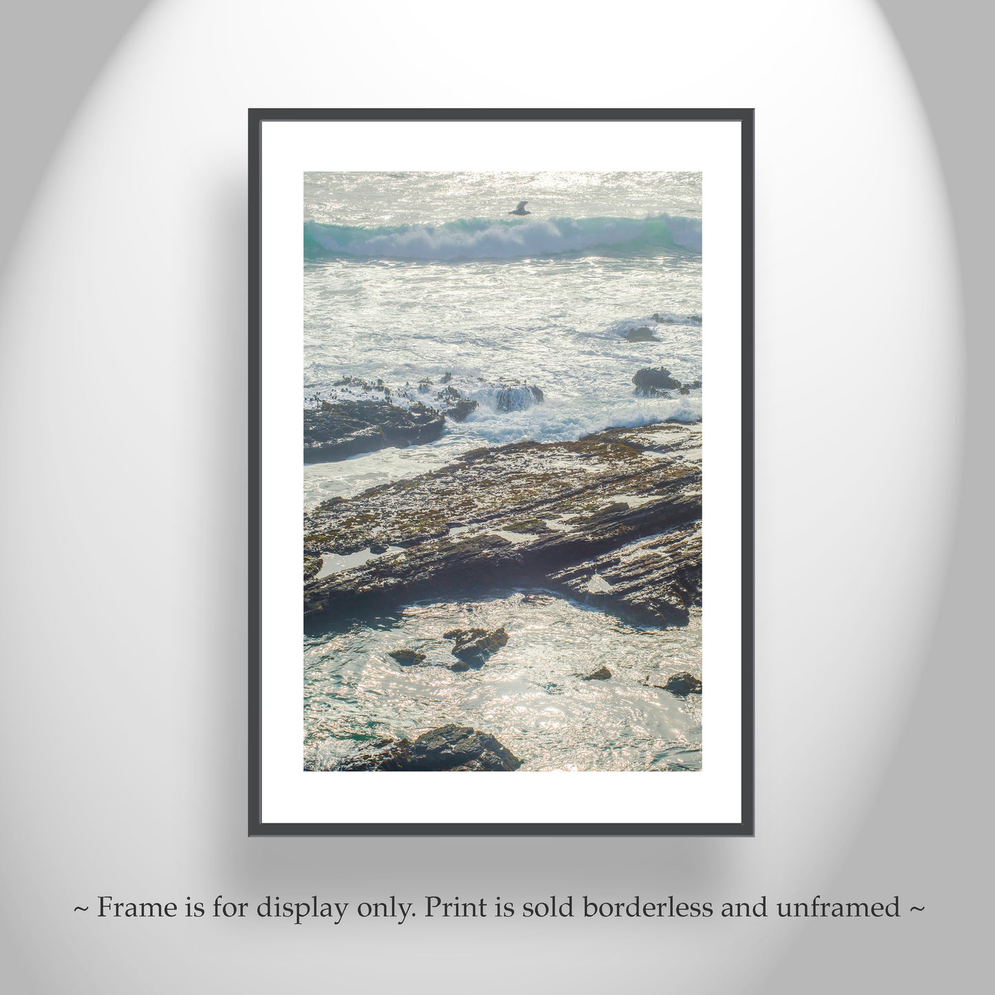 Point Cabrillo Mendocino County Coast Art Print