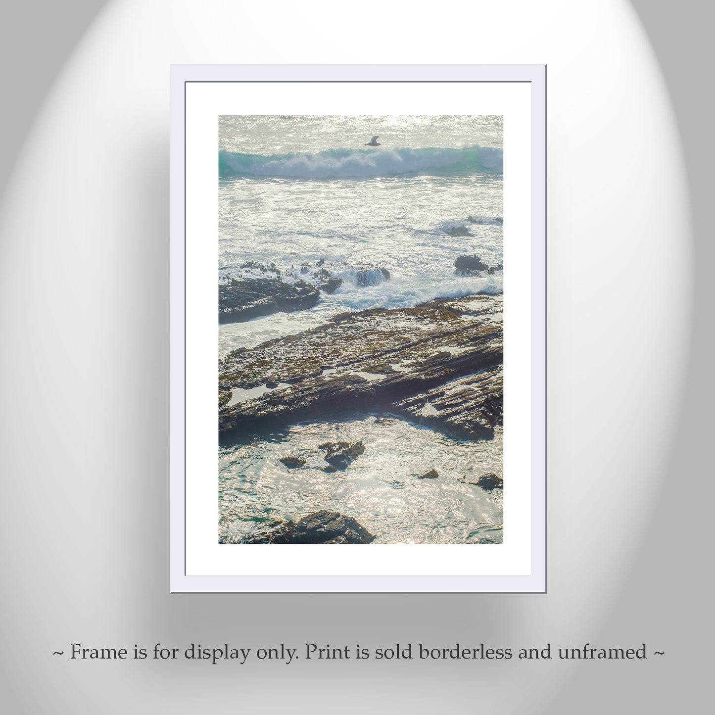 Point Cabrillo Mendocino County Coast Art Print