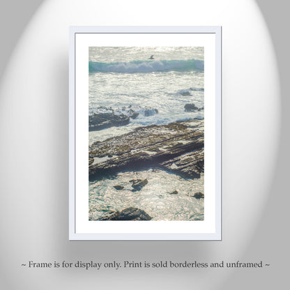 Point Cabrillo Mendocino County Coast Art Print