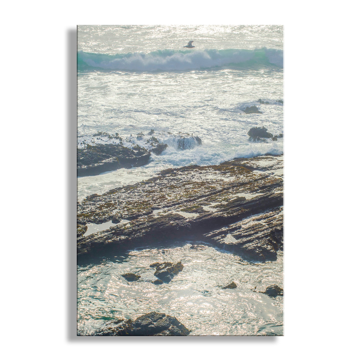 This fine art print is for sale in my Magnificent Mendocino Coast collection!

My dramatic depiction of the rugged seacoast at Point Cabrillo, northern California, planet Earth! Original, unique, signed art by Murray Bolesta.