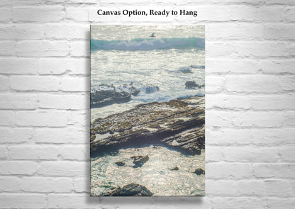 Point Cabrillo Mendocino County Coast Art Print