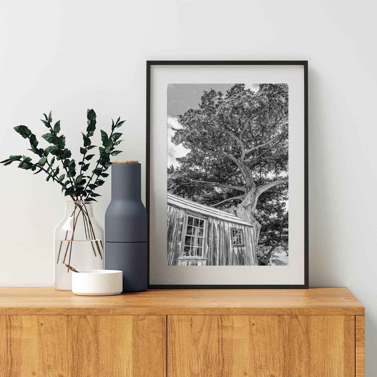 Point Lobos Whalers Cabin Carmel by the Sea Art | Monterey Cypress Tree in Black & White