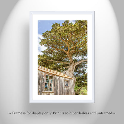 Point Lobos Art Print with Whaler's Cabin at Carmel by the Sea