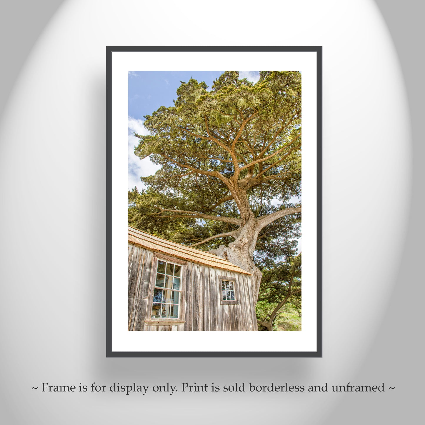 Point Lobos Art Print with Whaler's Cabin at Carmel by the Sea