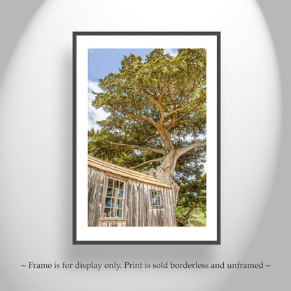 Point Lobos Art Print with Whaler's Cabin at Carmel by the Sea