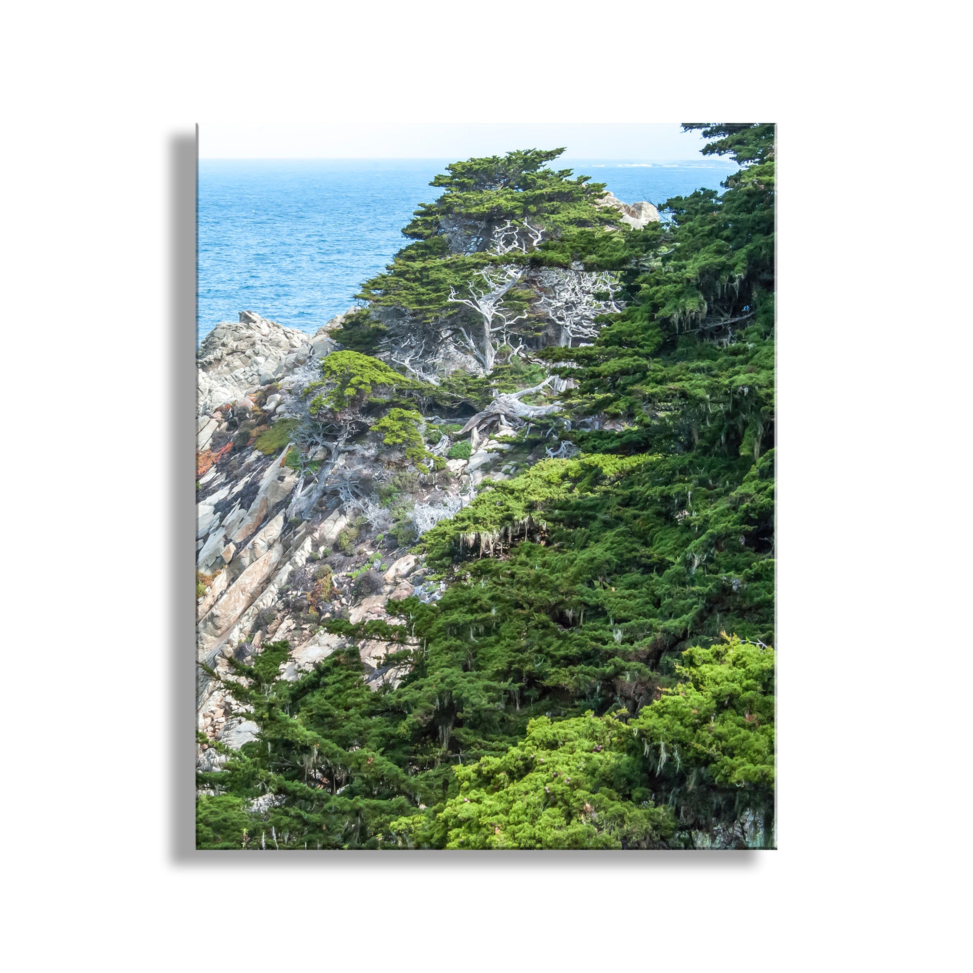 My pretty Point Lobos picture: coastal flora face a restless sea on the magnificent Pacific Ocean coastline! This is elemental, preserved wild nature at its most artful. Original, unique signed art by Murray Bolesta.