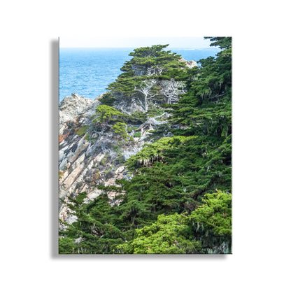 My pretty Point Lobos picture: coastal flora face a restless sea on the magnificent Pacific Ocean coastline! This is elemental, preserved wild nature at its most artful. Original, unique signed art by Murray Bolesta.