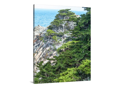 Point Lobos Carmel by the Sea Monterey Cypress Photography Print