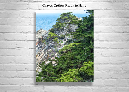 Point Lobos Carmel by the Sea Monterey Cypress Photography Print