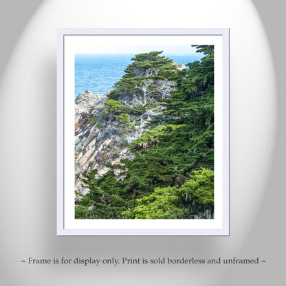 Point Lobos Carmel by the Sea Monterey Cypress Photography Print