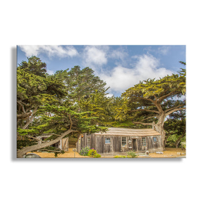 Point Lobos Carmel by the Sea California Art Print with Whalers Cabin