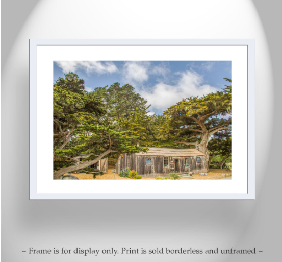 Point Lobos Carmel by the Sea California Art Print with Whalers Cabin