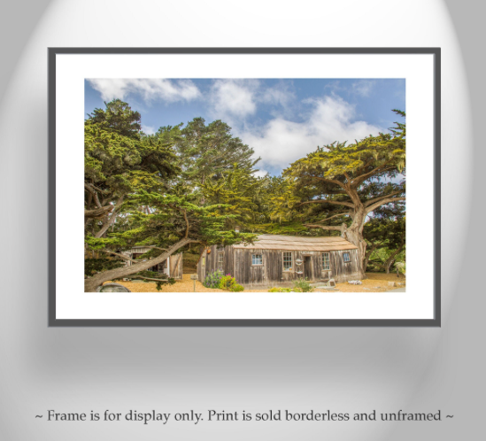 Point Lobos Carmel by the Sea California Art Print with Whalers Cabin