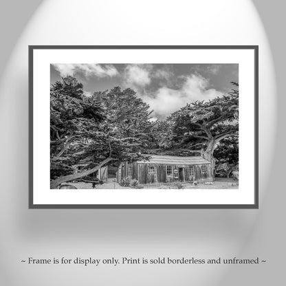 Carmel by the Sea Art Print at Point Lobos Whalers Cabin