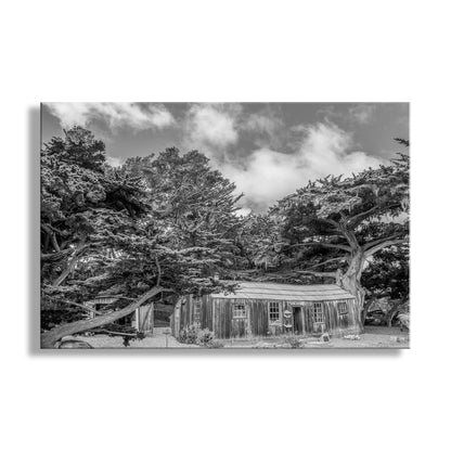 Black and white photo of a rustic cabin surrounded by trees with a cloudy sky. My terrific Point Lobos art in black &amp; white! The foresight and hard work of caring citizens protected this priceless corner of California, a magnificent example of Mother Nature outdoing herself. Our cultural heritage, in the form of this Whaler’s Cabin, meets our natural heritage, preserved for generations.&nbsp; Original, unique signed art by Murray Bolesta.