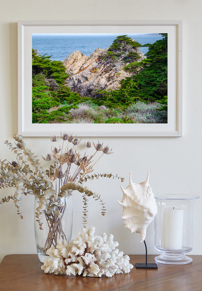 Point Lobos State Natural Reserve Landscape Art | Carmel California