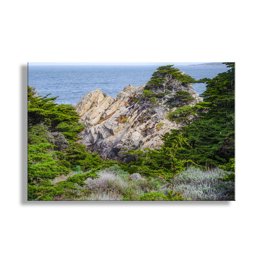 Rocky coastline with trees and ocean in the background. Point Lobos State Natural Reserve Landscape Art | Carmel California
