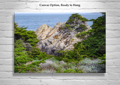 Point Lobos State Natural Reserve Landscape Art | Carmel California
