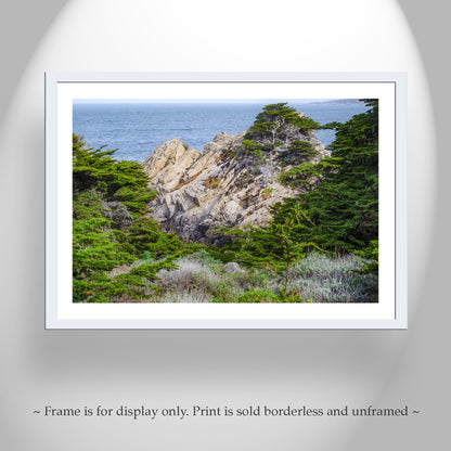 Point Lobos State Natural Reserve Landscape Art | Carmel California