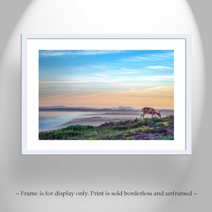 Marin County Coastal Art Print with Point Reyes Sunrise and Wild Deer | California Seacoast Gift