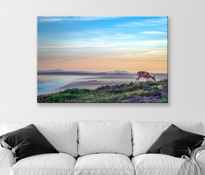 Marin County Coastal Art Print with Point Reyes Sunrise and Wild Deer | California Seacoast Gift