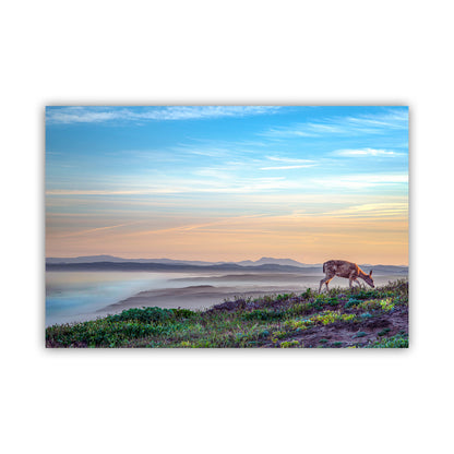 Marin County Coastal Art Print with Point Reyes Sunrise and Wild Deer | California Seacoast Gift