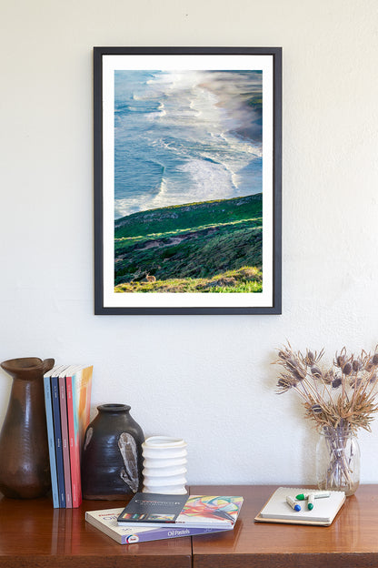 Point Reyes Photograph with Wild Deer as Framed Art