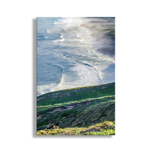 A vertical canvas wall art print depicting a coastal landscape with ocean waves, white surf, and a green grassy hillside in the foreground, shown against a plain white background. My outstanding ocean photograph with a Point Reyes California wild deer to boot! This is a splendid scene of the California coast at sunrise, with a wild black-tailed deer intervening in the foreground. Original, unique, signed art by Murray Bolesta.