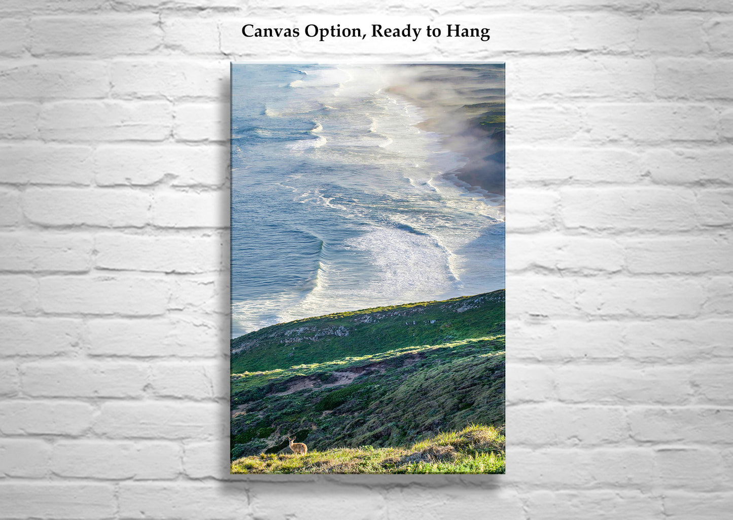 Point Reyes Photograph with Wild Deer as Framed Art
