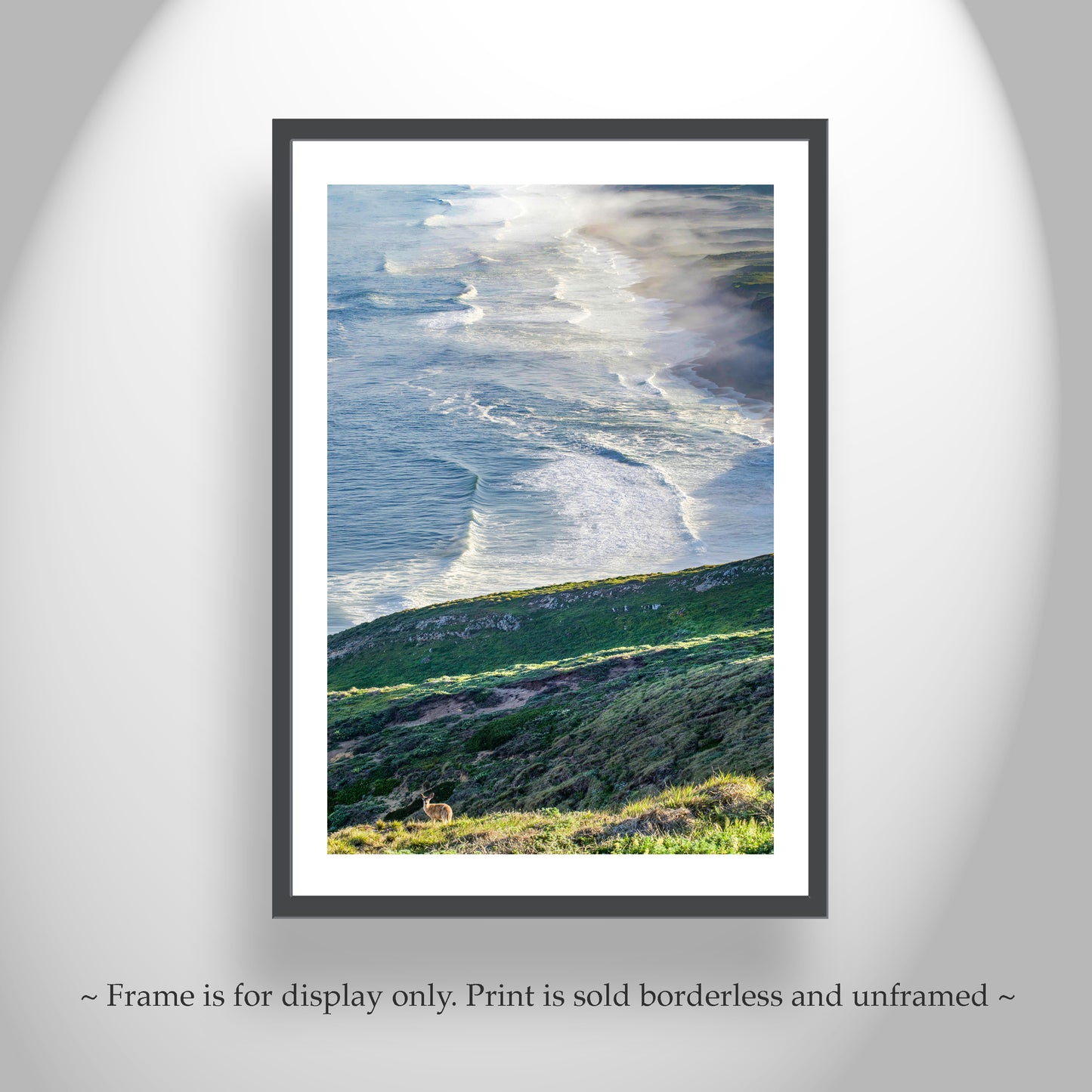 Point Reyes Photograph with Wild Deer as Framed Art