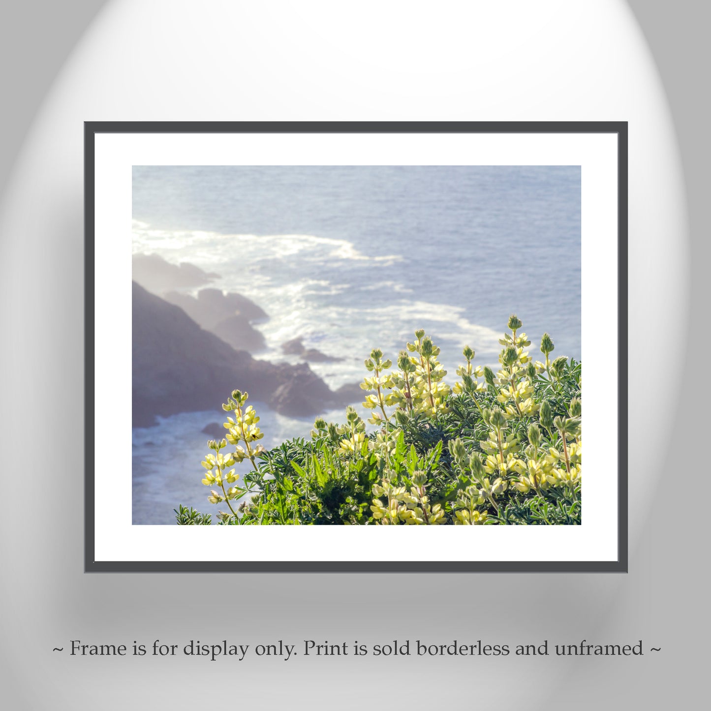 Point Reyes California Coast Seascape Wall Art with Yellow Lupine Wildflower