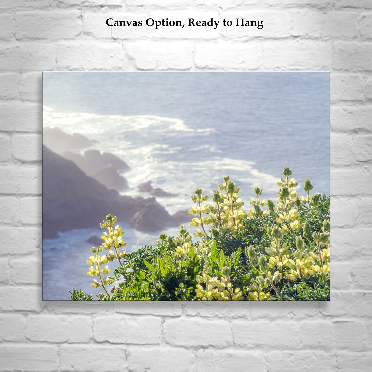 Point Reyes California Coast Seascape Wall Art with Yellow Lupine Wildflower