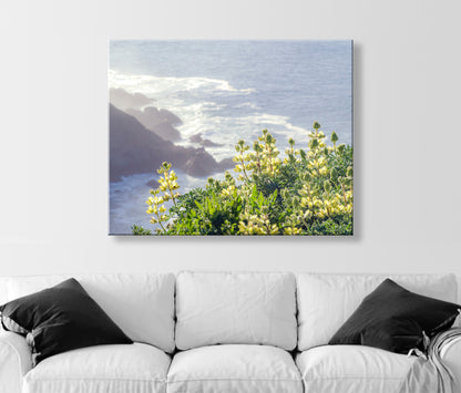 Point Reyes California Coast Seascape Wall Art with Yellow Lupine Wildflower