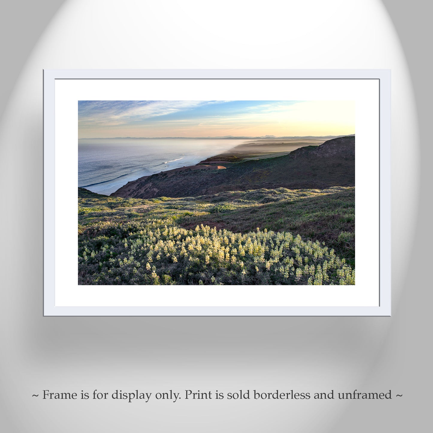 Point Reyes Marin County Art with Yellow Lupine Wildflowers and Pacific Ocean Sunrise