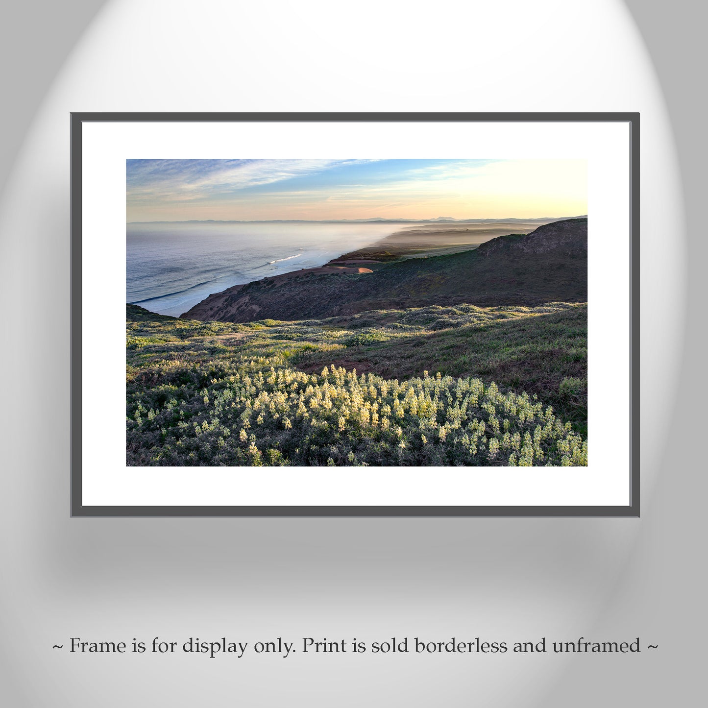 Point Reyes Marin County Art with Yellow Lupine Wildflowers and Pacific Ocean Sunrise