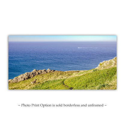 Point Reyes California Pacific Ocean Seascape Panorama Wall Art with Wild Deer