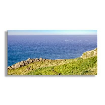 Scenic view of a coastal landscape with grassy hills and blue ocean. My spectacular seascape panorama with a nearby wild deer and a motor yacht on the horizon. This is Point Reyes National Seashore and the mighty Pacific Ocean! Original, unique signed art by Murray Bolesta.&nbsp;