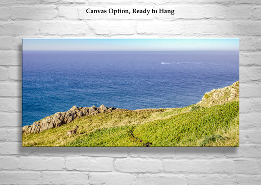 Point Reyes California Pacific Ocean Seascape Panorama Wall Art with Wild Deer