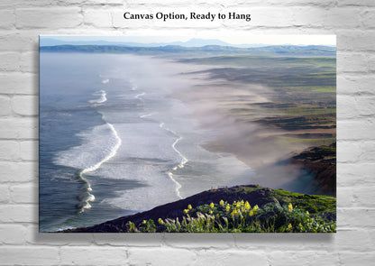 Point Reyes National Seashore Seascape Art with Wildflowers