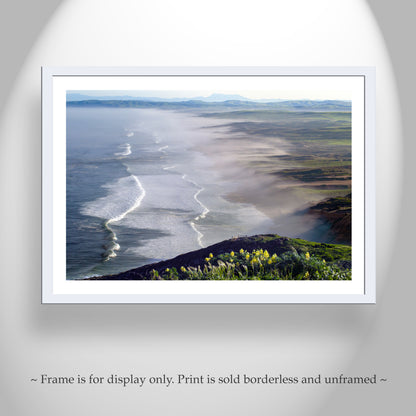 Point Reyes National Seashore Seascape Art with Wildflowers