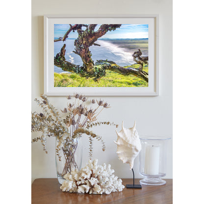 Point Reyes National Seashore California Ocean Photography