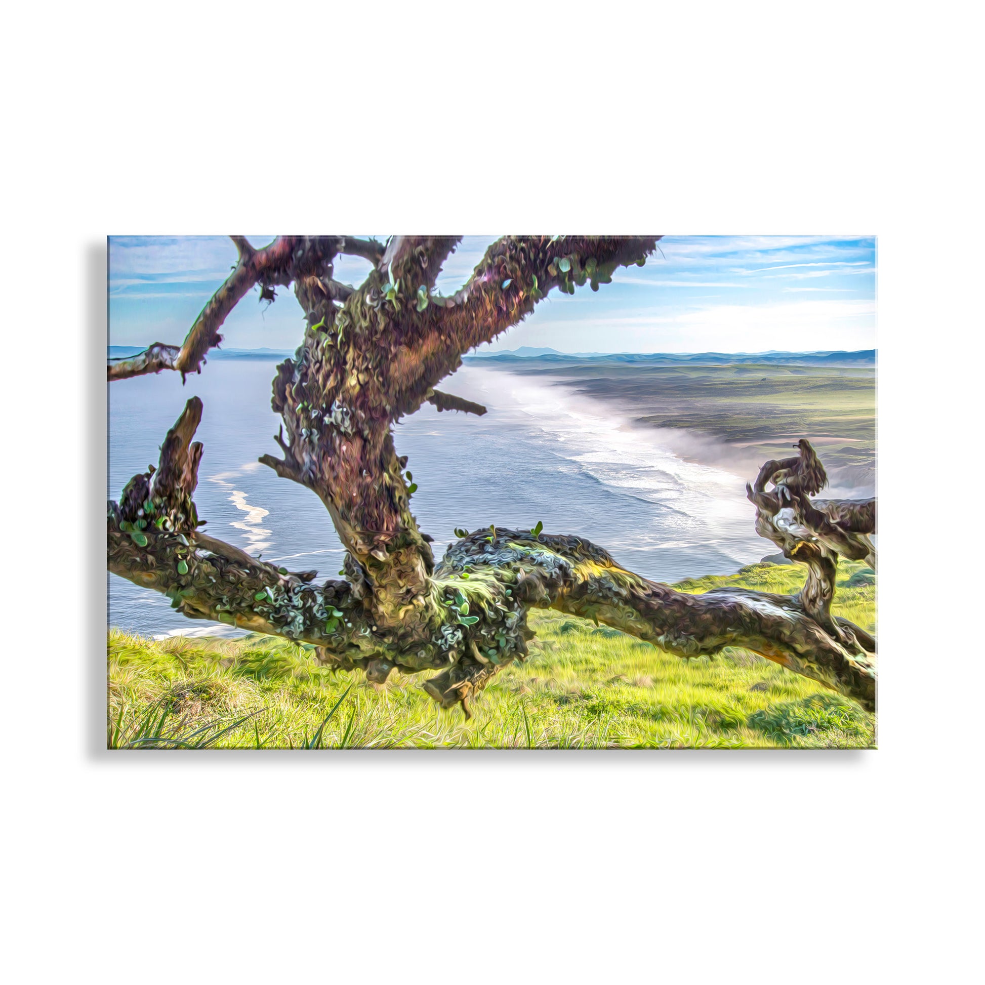 Moss-covered tree branch with a scenic beach in the background. Point Reyes National Seashore California Ocean Photography