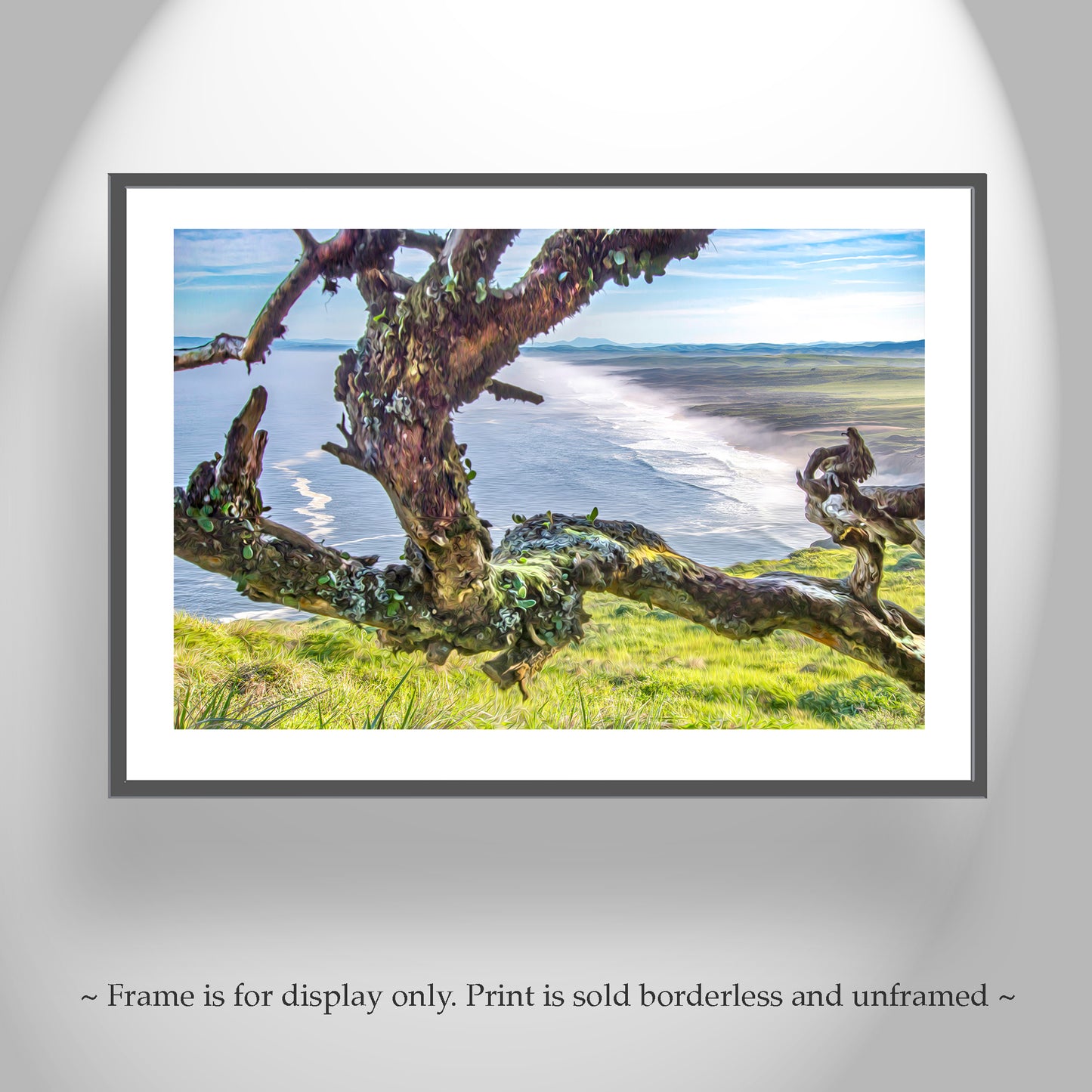 Point Reyes National Seashore California Ocean Photography