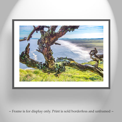 Point Reyes National Seashore California Ocean Photography