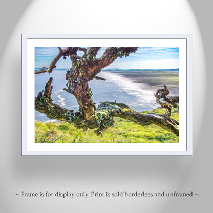 Point Reyes National Seashore California Ocean Photography