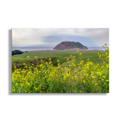 Scenic view of a coastal landscape with yellow flowers in the foreground. Point Sur Light Station State Park California Art Print
