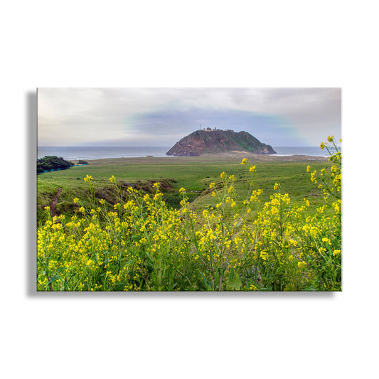 Scenic view of a coastal landscape with yellow flowers in the foreground. Point Sur Light Station State Park California Art Print